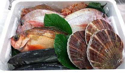 魚介セット