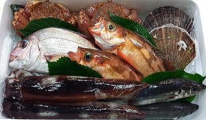 魚貝セット
